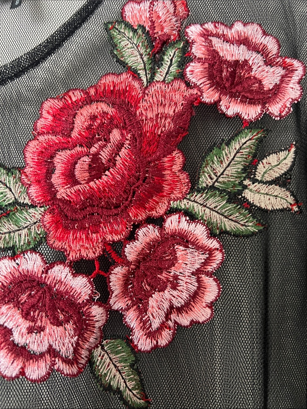 Forever 21 Black Sheer Mesh Dress with Pink Rose Embroidery - Women - Picture 5 of 6